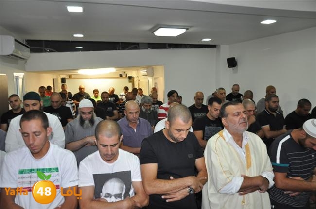 tarawee7 fateh mosqueeq (23).JPG